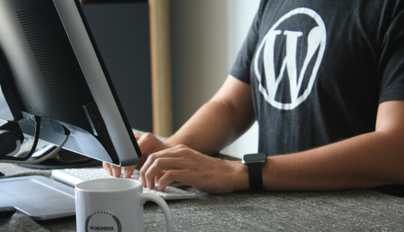 wordpress 